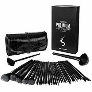 Nutzen eines Pinsel Set